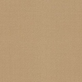 323