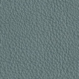 Pigeon blue