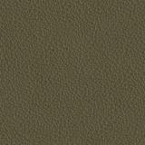 Caper green