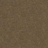 491