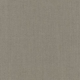 262