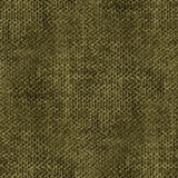 Vogue Olive
