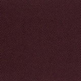 Berberis 019
