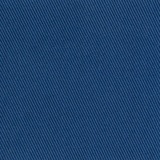 Berberis 020
