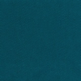 Berberis 025