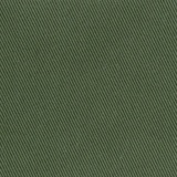 Berberis 026
