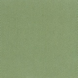 Berberis 027