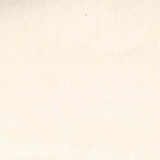 Blitum 01