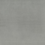 Blitum 19