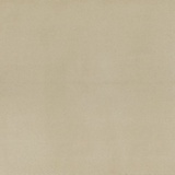 Blitum 20