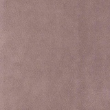 Blitum 23