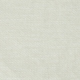 Camelia 02