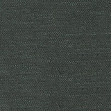 Camelia 20