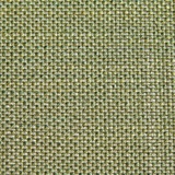 Camomilla 2