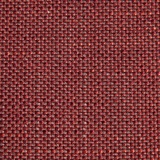 Camomilla 3