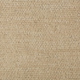 Cassia 4