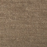 Cassia 6