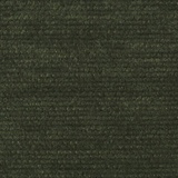 Cassia 10