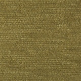 Cassia 11