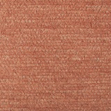 Cassia 12
