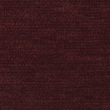 Cassia 15