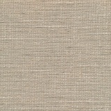 Ellisia 32