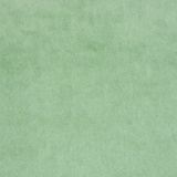 Elodea 1005