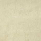 Elodea 1021