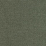 Belsuede Special FR 038