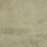 Elodea 1028