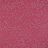 Pepite 1505