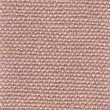Pervinca 11