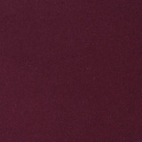 Phlox 55