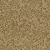 Piroette 1119