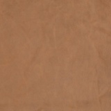 Dunes 21004