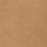 Leisure 42500