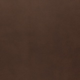 Leisure 42509