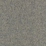 Monet 0243