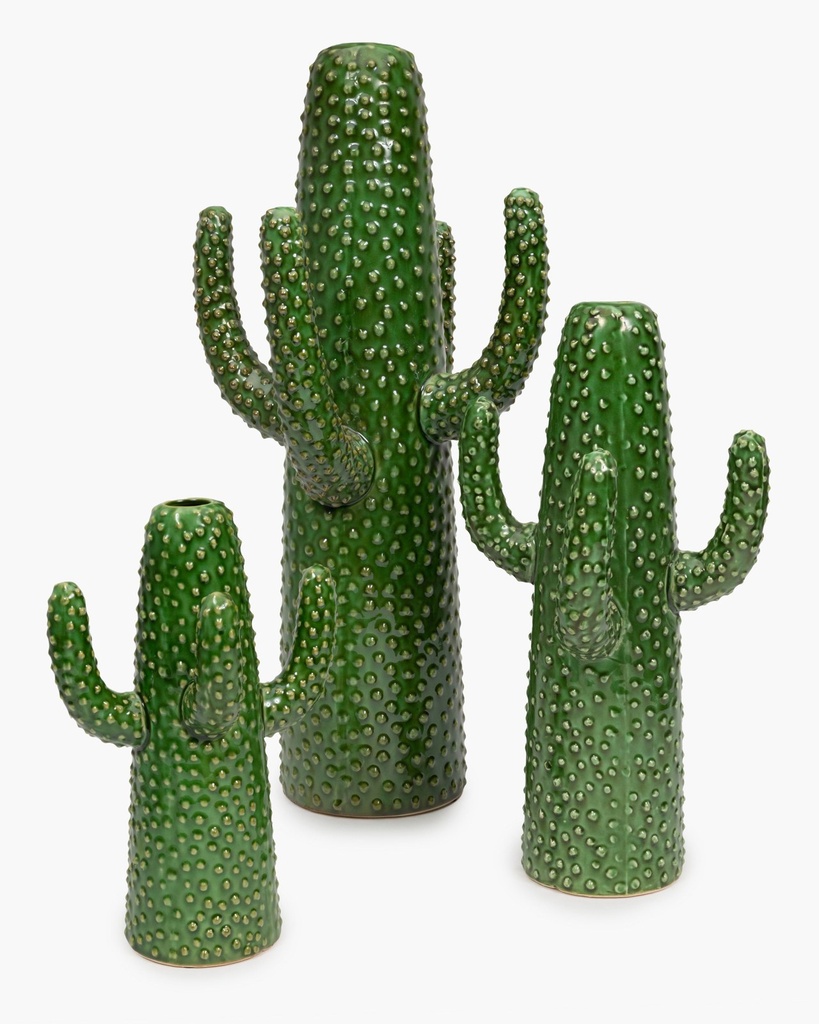 Cactus l vert urban jungle 2