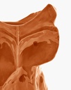 Vase chouette L After Midnight – orange 4