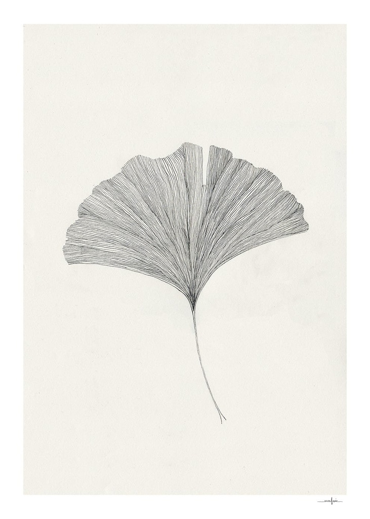 Ana frois, ginkgo leaf - 50x70 cm — vue 1