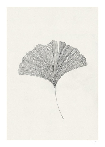Ana frois, ginkgo leaf - 50x70 cm — vue 1