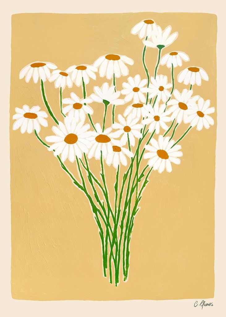 Carla llanos, daisies - 50x70 cm — vue 1