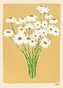 Carla llanos, daisies - 50x70 cm — vue 1