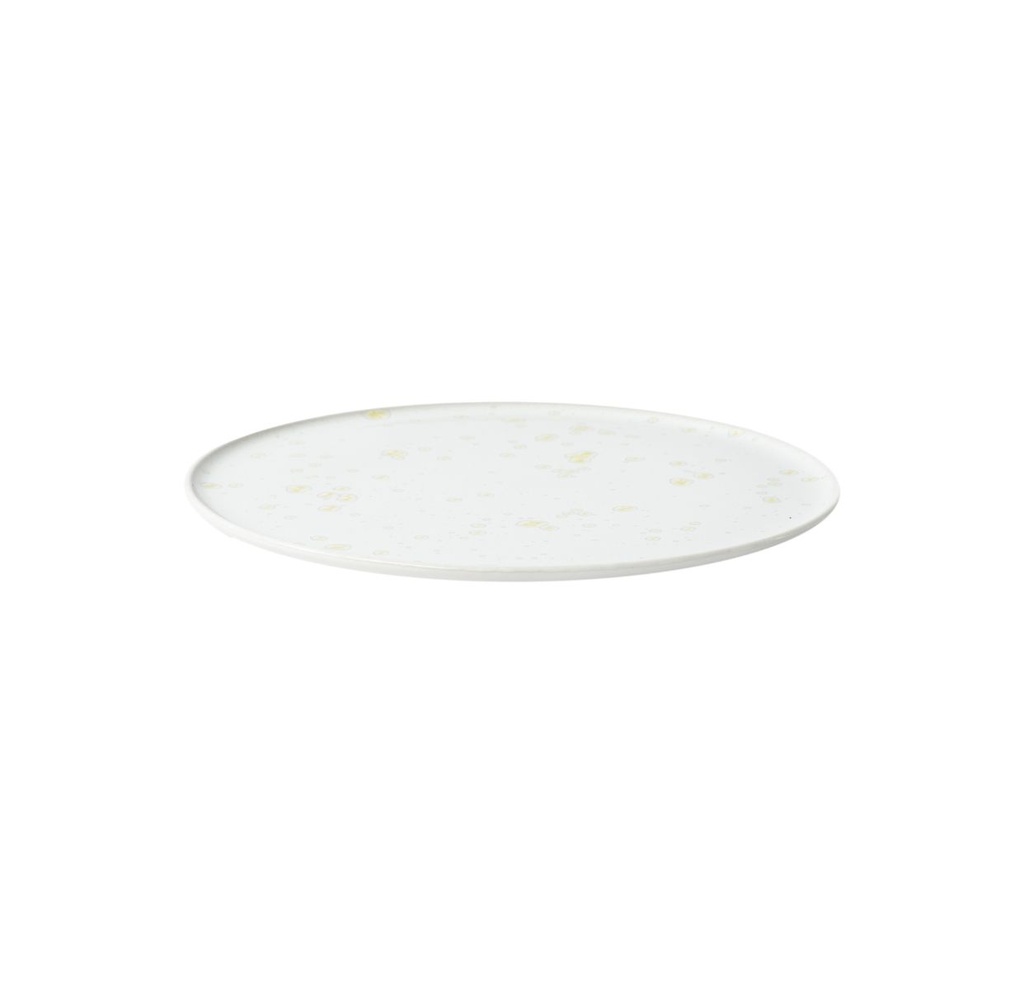 Assiette L partition D23,5 — ambiance
