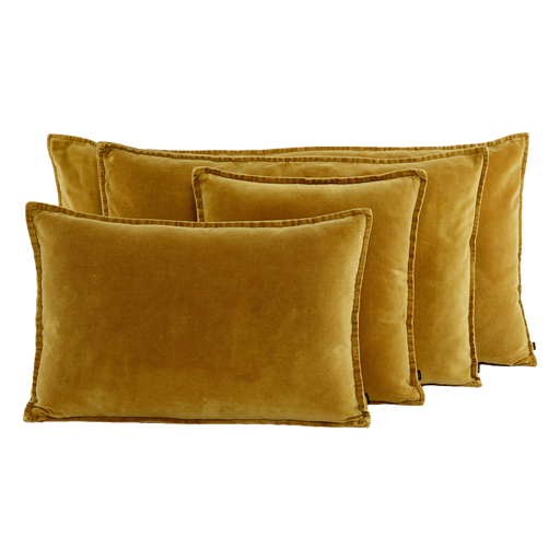 Chamois