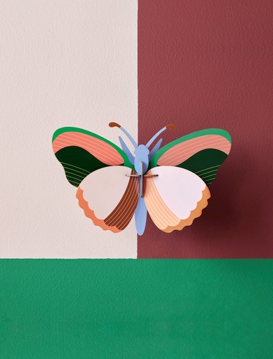 SYCAMORE-BUTTERFLY_WEBSITE-AMBIENT.gif