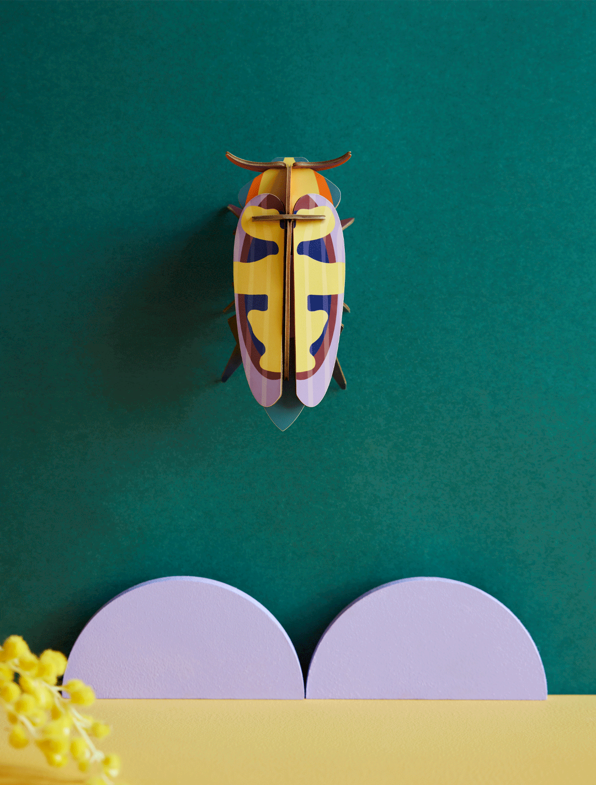 MANGO-FLOWER-BEETLE_WEBSITE-AMBIENT.gif