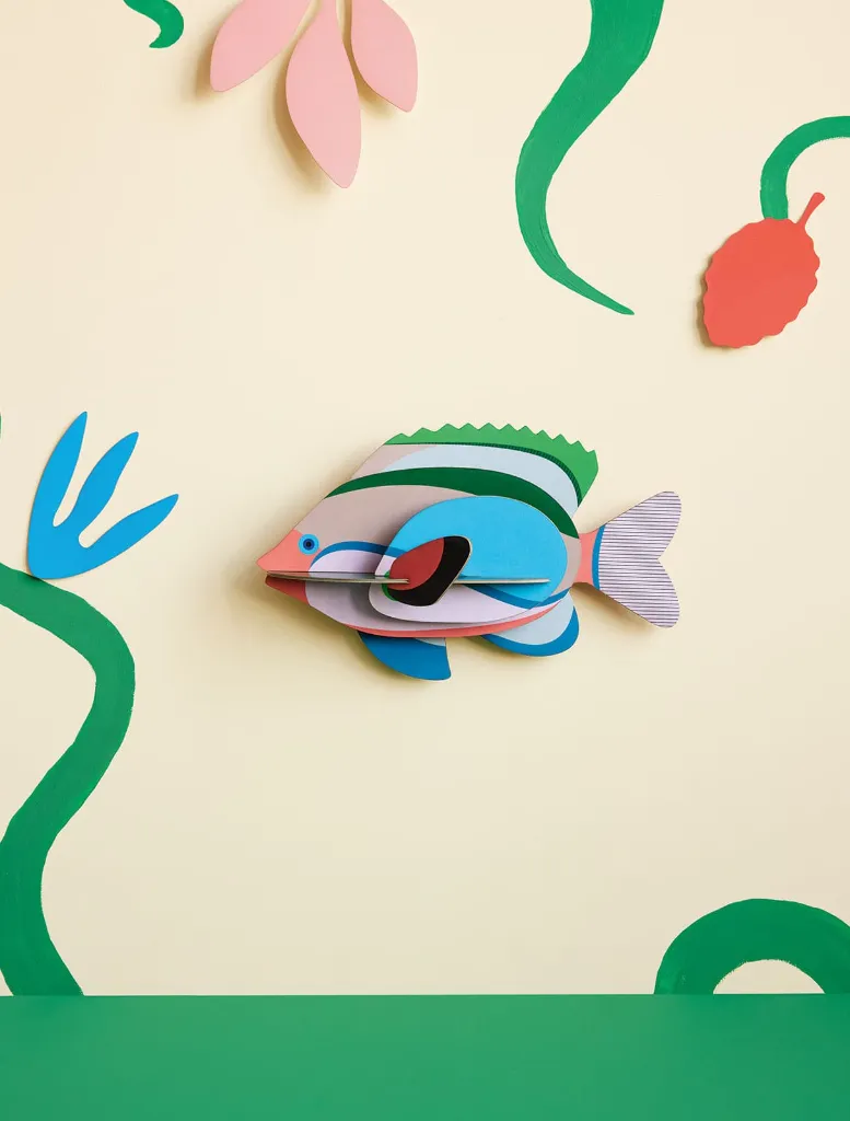FAIRY-WRASSE-AMBIENT-PORTRAIT-1.webp