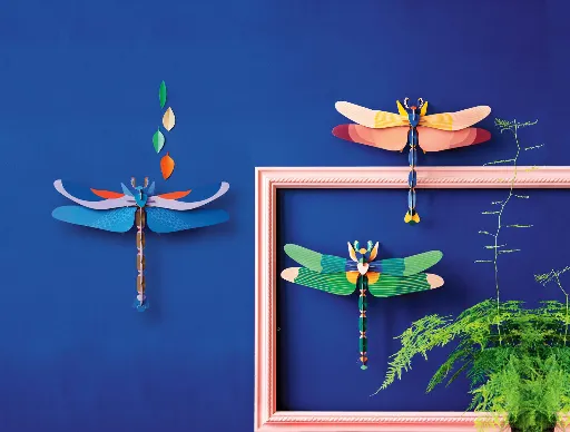 LANDSCAPE-OVERVIEW-DRAGONFLY.webp